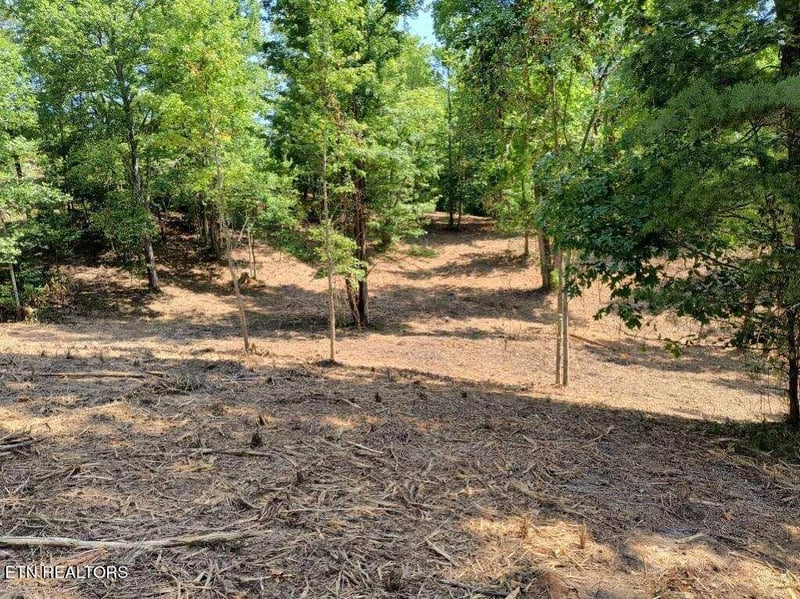 0 Ashe Cabin Hollow Rd, Harriman, TN 37748