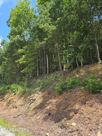 0 Ashley Ln, Jellico, TN 37762