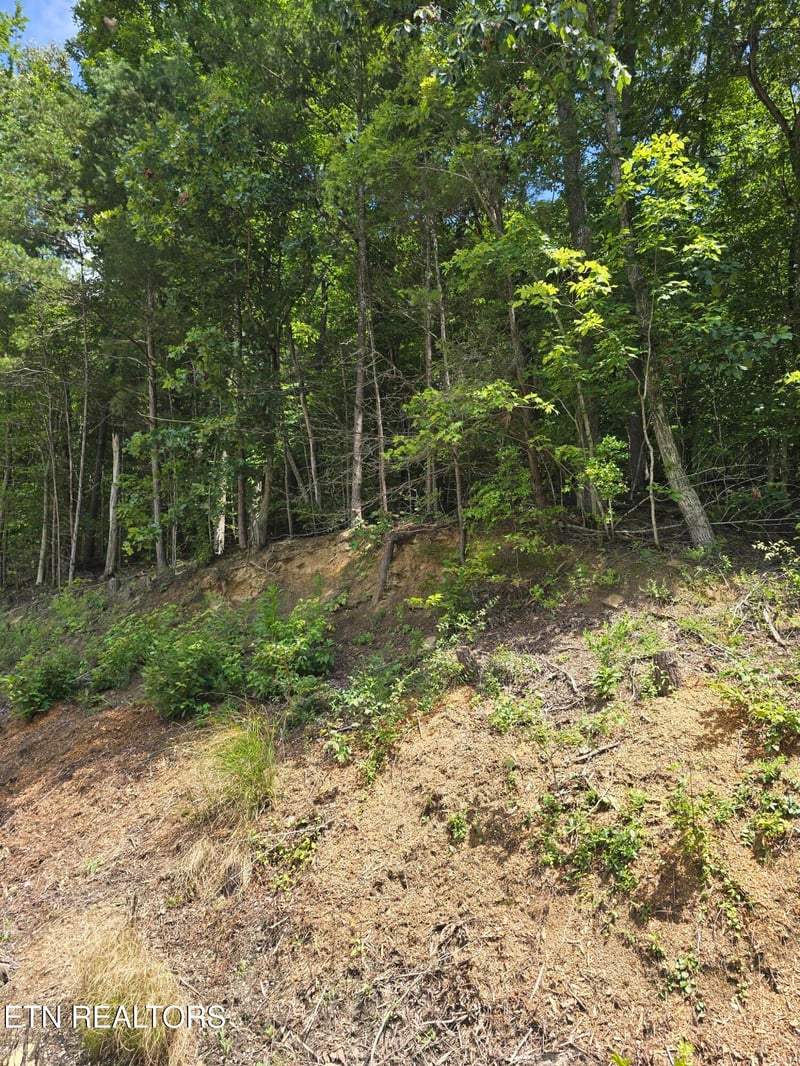 0 Ashley Ln, Jellico, TN 37762