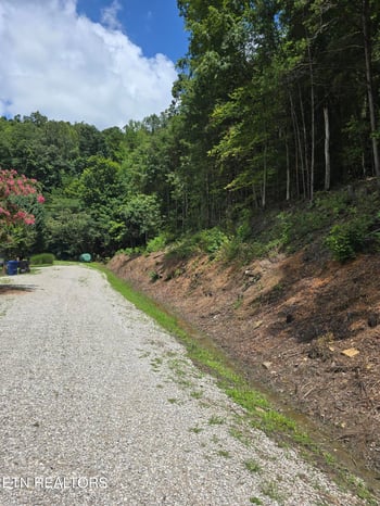 0 Ashley Ln, Jellico, TN 37762