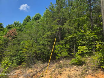 0 Ashley, Maynardville, TN 37807