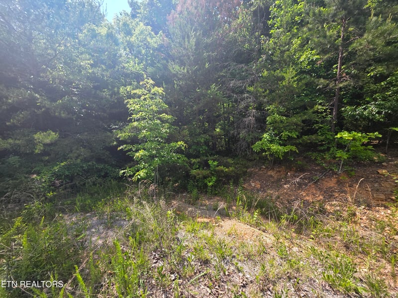 0 Ashley, Maynardville, TN 37807