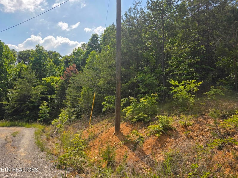 0 Ashley, Maynardville, TN 37807