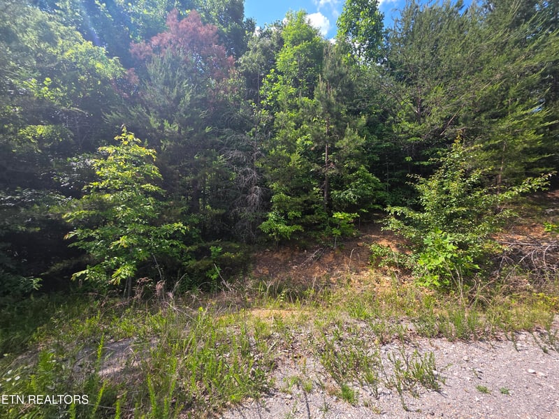 0 Ashley, Maynardville, TN 37807