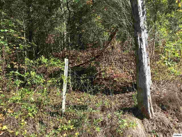 0 Audley Moore Rd, Sevierville, TN 37876