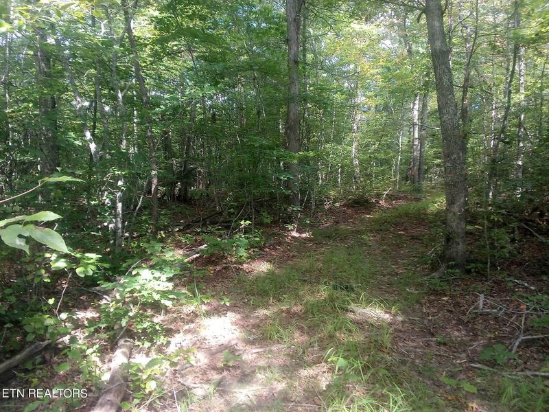 0 Austin Dr, Monterey, TN 38574