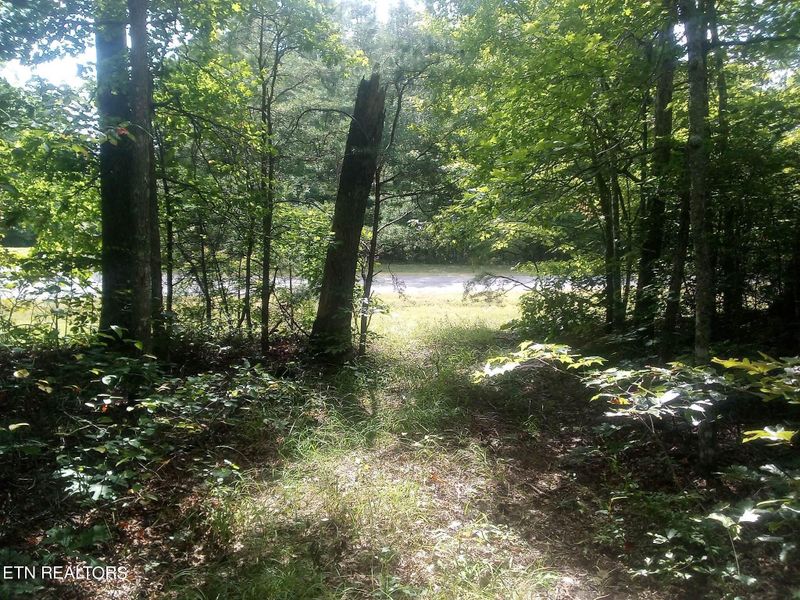 0 Austin Dr, Monterey, TN 38574