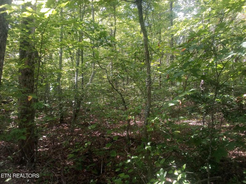 0 Austin Dr, Monterey, TN 38574