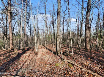 0 Avens Ln, Tallassee, TN 37878