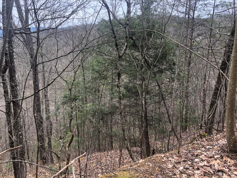 0 B J Belk Way, Sevierville, TN 37876