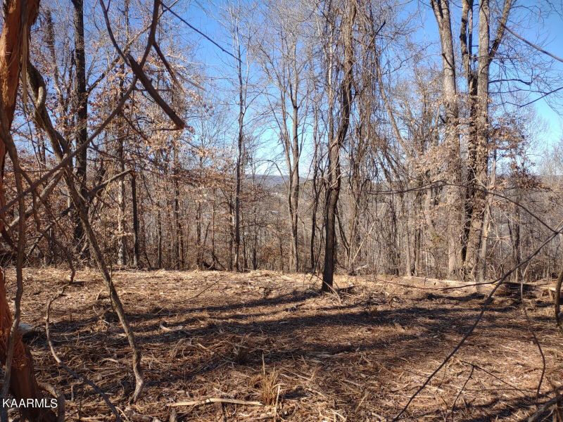 0 Bailes Rd, Harriman, TN 37748