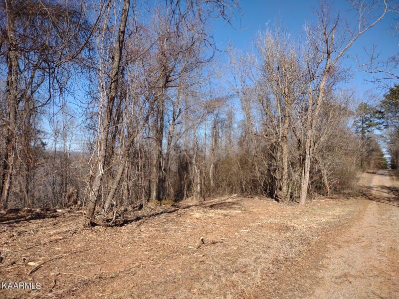 0 Bailes Rd, Harriman, TN 37748