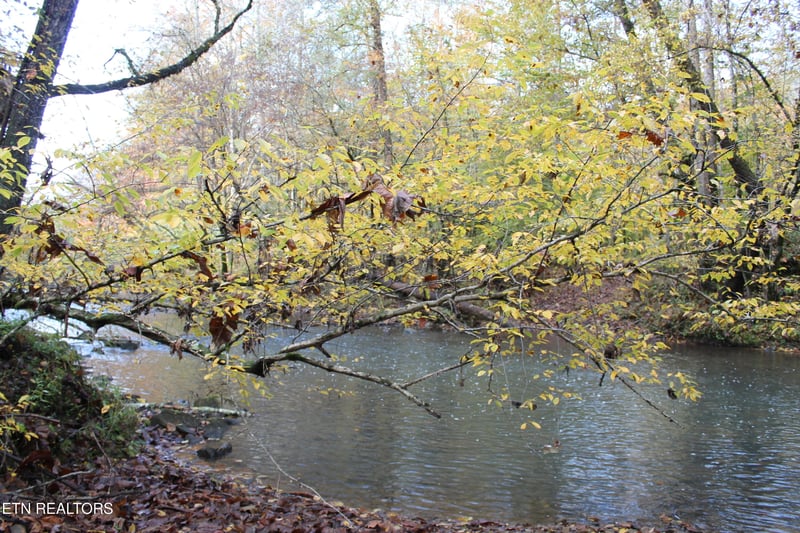 0 Baird Branch, Winfield, TN 37892