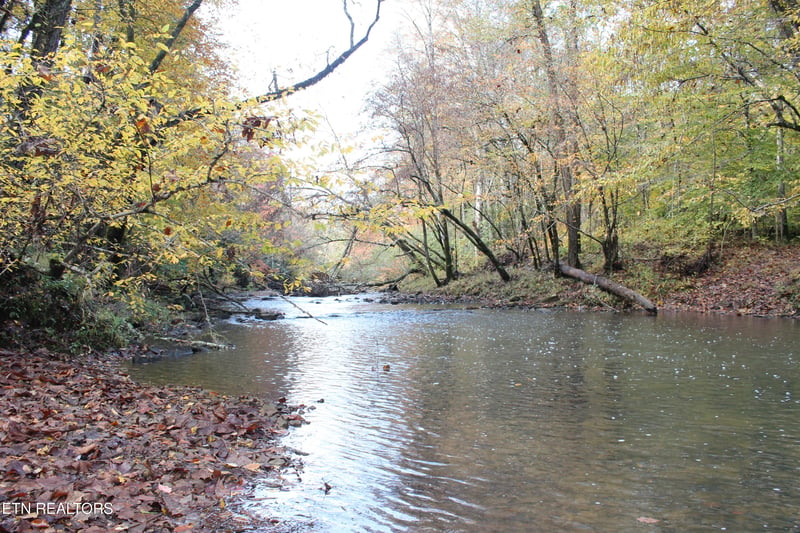 0 Baird Branch, Winfield, TN 37892
