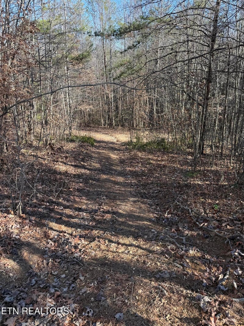 0 Baker Hwy, Huntsville, TN 37756