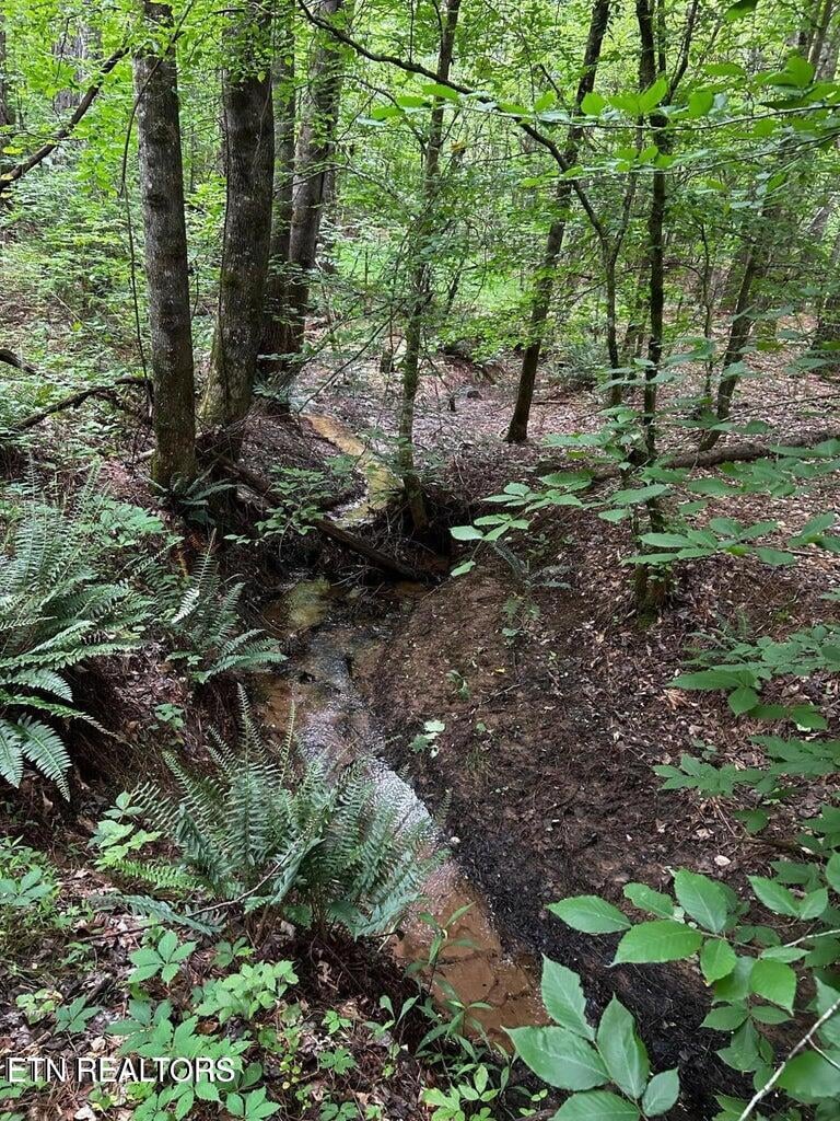 0 Ballplay Rd, Madisonville, TN 37354