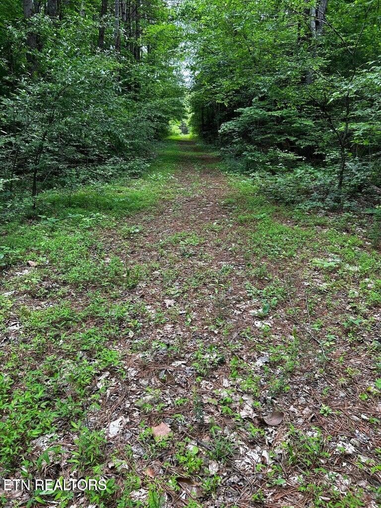 0 Ballplay Rd, Madisonville, TN 37354