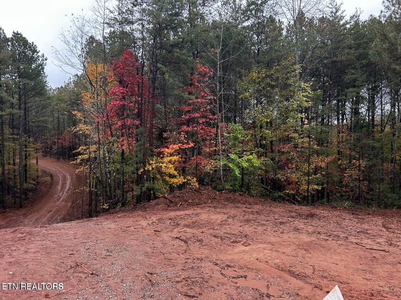0 Ballplay Road Lot 30, Madisonville, TN 37354