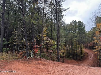 0 Ballplay Road Lot 30, Madisonville, TN 37354
