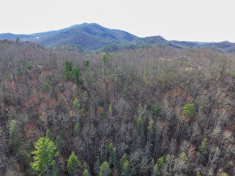 0 Balls Hollow Rd, Cosby, TN 37722