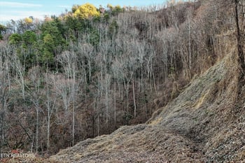 0 Balsam Slopes Rd, Sevierville, TN 37862