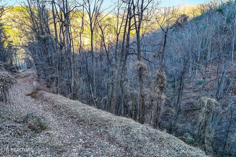 0 Balsam Slopes Rd, Sevierville, TN 37862