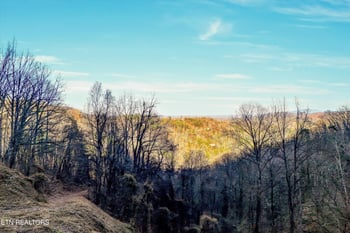 0 Balsam Slopes Rd, Sevierville, TN 37862