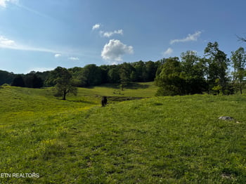 0 Baltimore Rd, Washburn, TN 37888