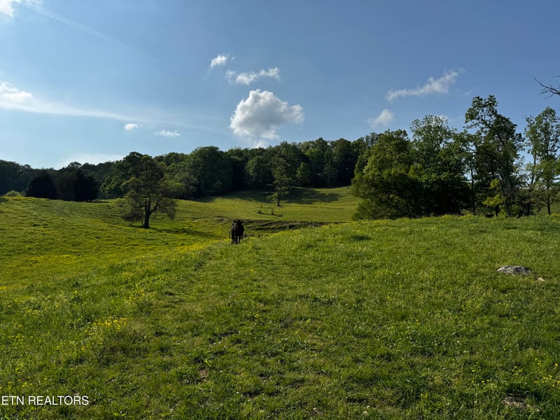 0 Baltimore Rd, Washburn, TN 37888
