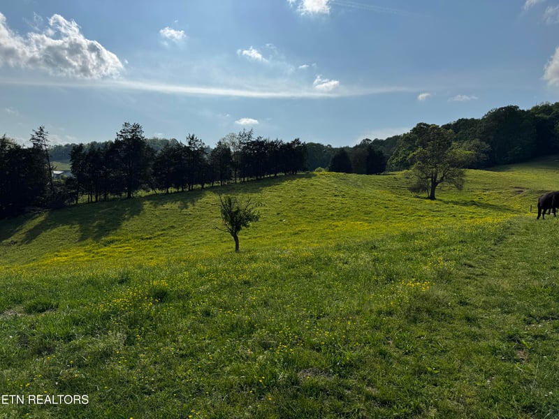 0 Baltimore Rd, Washburn, TN 37888