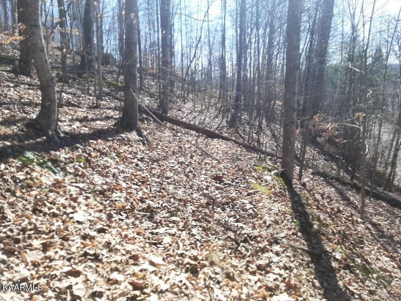 0 Bankhill Rd, Lafollette, TN 37766