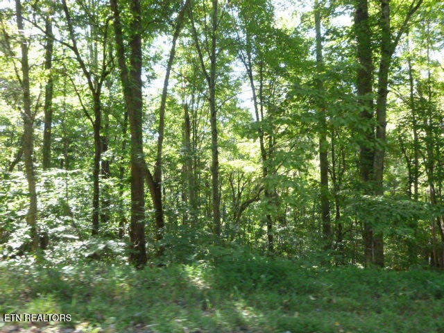 0 Bankston Ln #129A A 061.00, Lafollette, TN 37766
