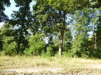 0 Bankston Ln #129A A 061.00, Lafollette, TN 37766