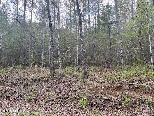 0 Barney Creek Rd, Tellico Plains, TN 37385