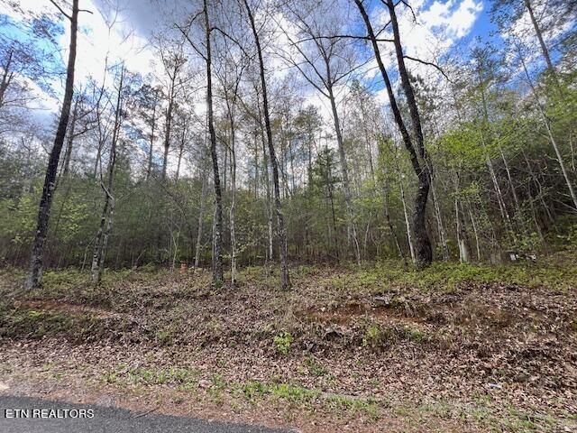 0 Barney Creek Rd, Tellico Plains, TN 37385