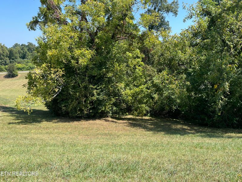 0 Barnsley Rd, Knoxville, TN 37934
