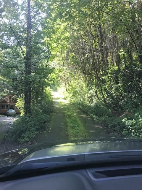 0 Baskins Creek Rd, Gatlinburg, TN 37738