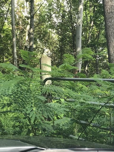 0 Baskins Creek Rd, Gatlinburg, TN 37738