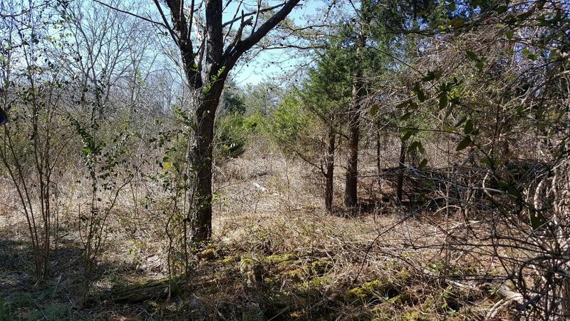0 Bat Creek Rd, Vonore, TN 37885