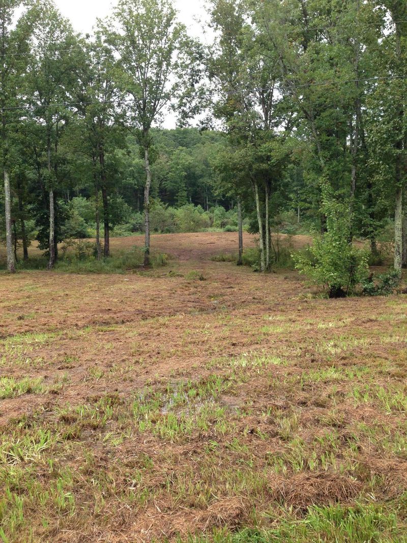 0 Bat Town Rd, Crab Orchard, TN 37723