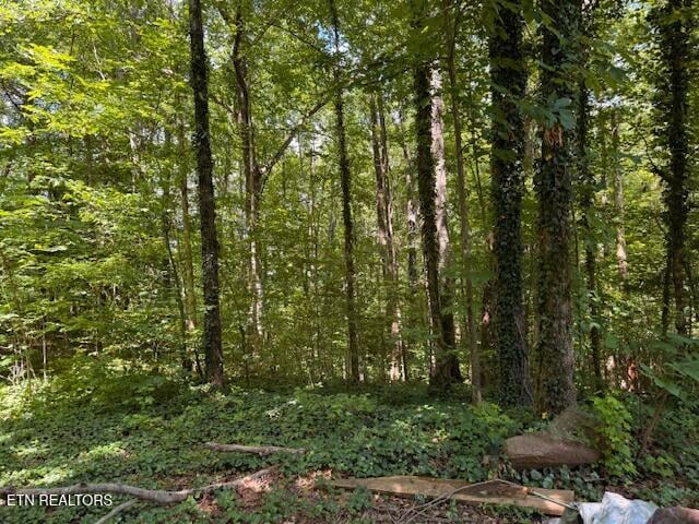 0 Bates Gibson Rd, Sevierville, TN 37876
