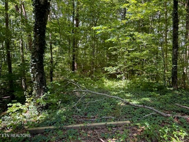 0 Bates Gibson Rd, Sevierville, TN 37876