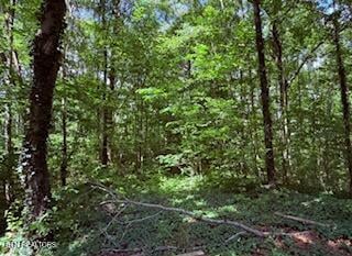 0 Bates Gibson Rd, Sevierville, TN 37876