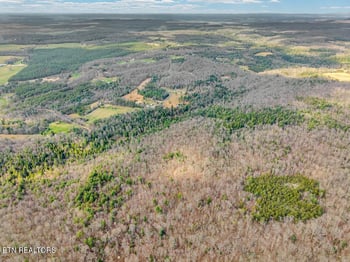0 Baxter Norris Rd, Crab Orchard, TN 37723
