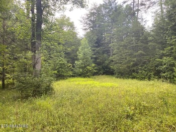 0 Baxter Norris Rd, Crab Orchard, TN 37723