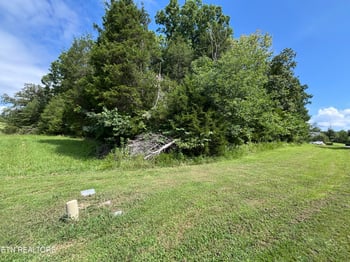 0 Bay Shore Dr, Rockwood, TN 37854