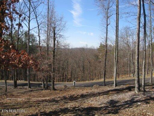 0 Bayside Blvd, Bean Station, TN 37708