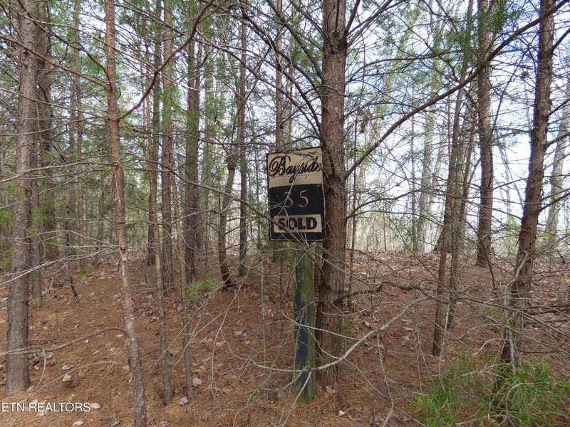 0 Bayside Blvd Lot 35, Bean Station, TN 37708