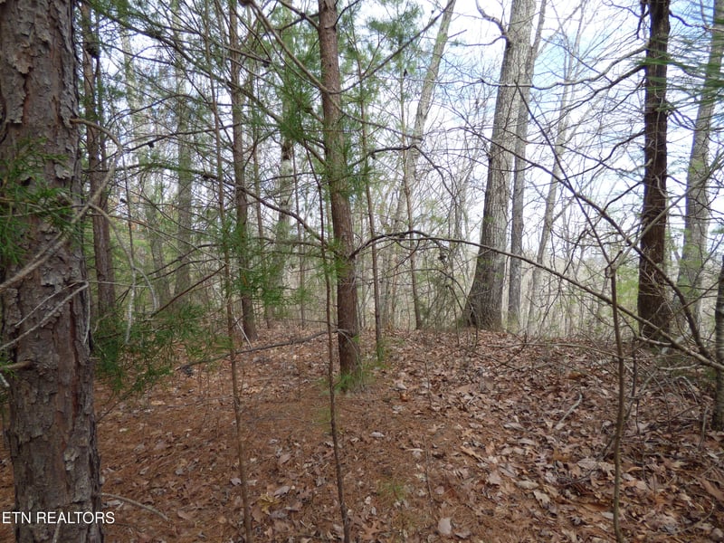 0 Bayside Blvd Lot 35, Bean Station, TN 37708