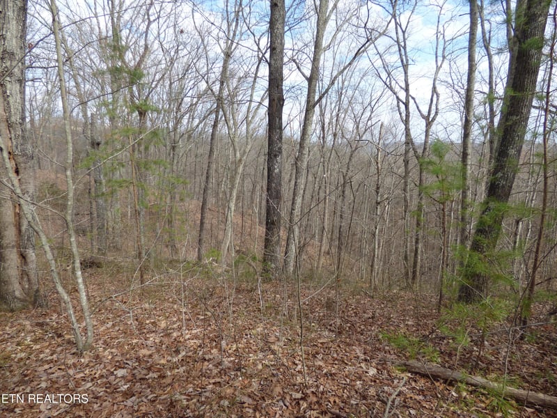 0 Bayside Blvd Lot 35, Bean Station, TN 37708